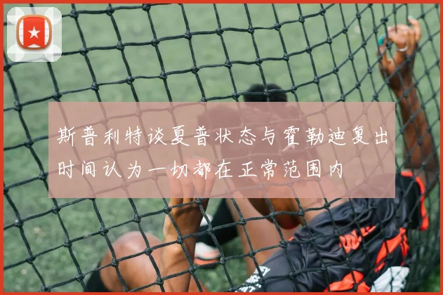 斯普利特谈夏普状态与霍勒迪复出时间认为一切都在正常范围内