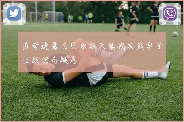 芬奇透露戈贝尔明天能战灰熊华子出战仍存疑虑