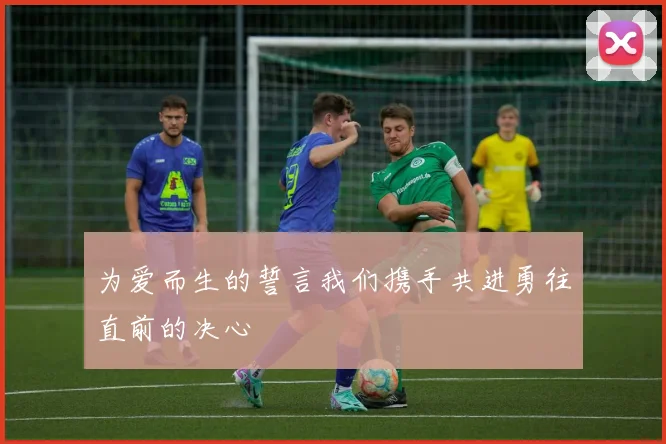 为爱而生的誓言我们携手共进勇往直前的决心