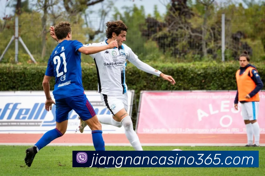 江南真人娱乐平台生态图